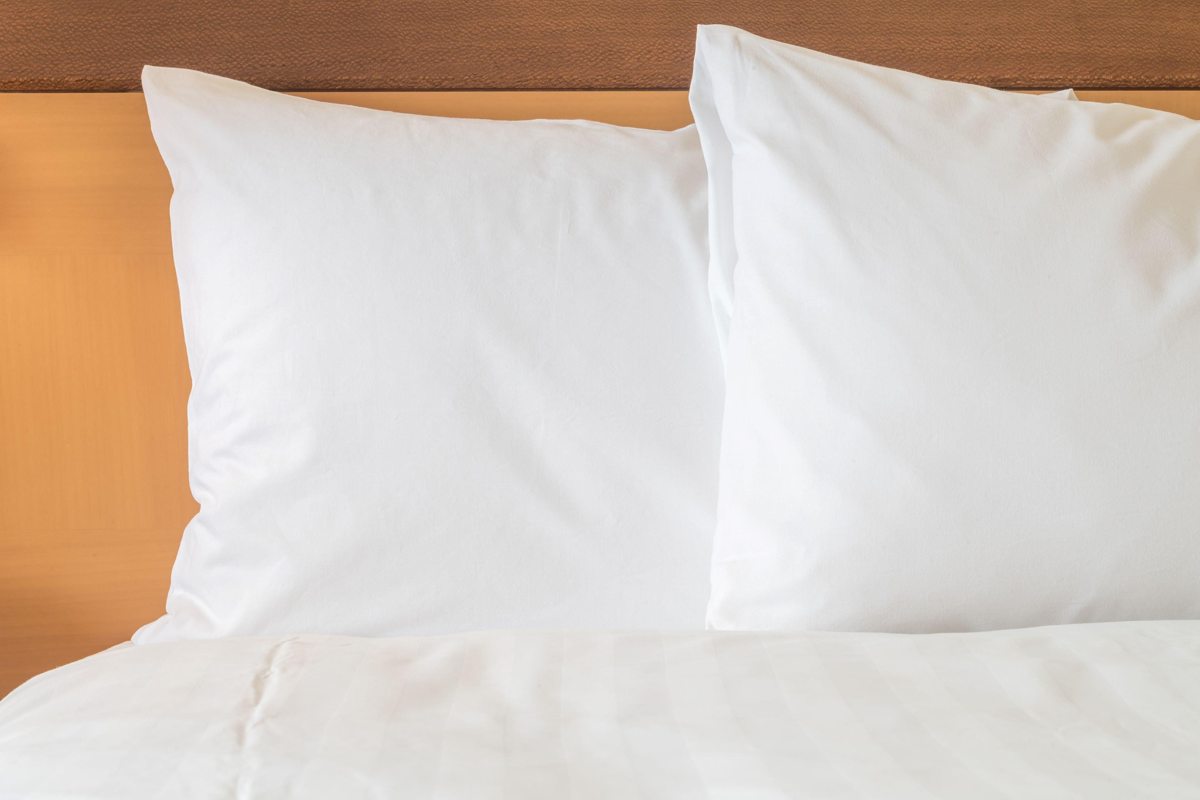 Holiday Inn Express Hotel & Suites Ashland By Ihg Ngoại thất bức ảnh